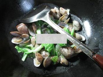 小白菜炒花蛤的做法步骤6