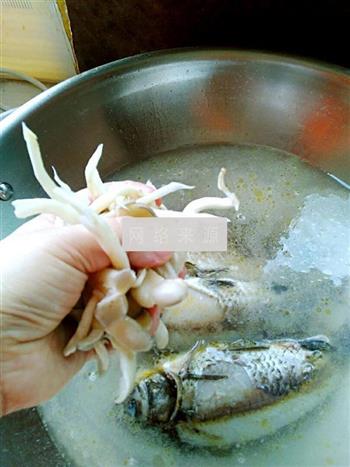 鲜味平菇鲫鱼汤的做法步骤8