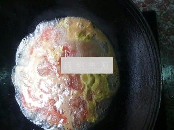 番茄鸡蛋汤的做法图解6