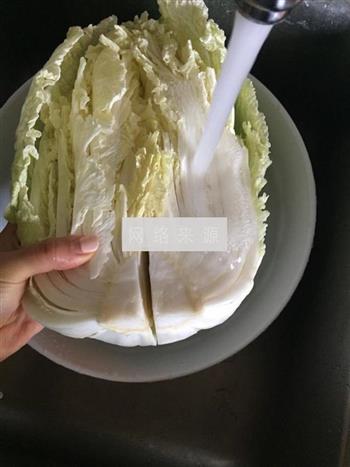 韩国泡菜辣白菜的做法步骤4