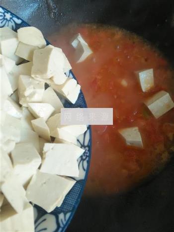 番茄豆腐的做法步骤5