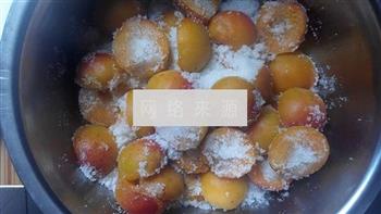 杏子果酱的做法步骤3