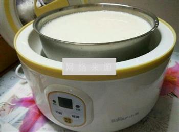 自制老酸奶的做法步骤2