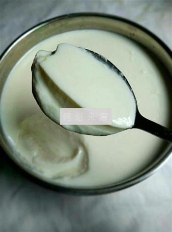 自制老酸奶的做法图解4