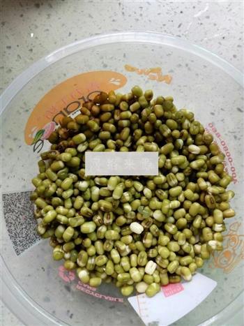自发绿豆芽的做法步骤3
