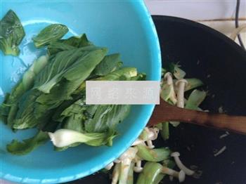 白玉菇炒青菜的做法步骤9