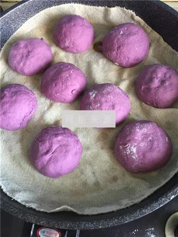 紫薯全麦豆包的做法图解5