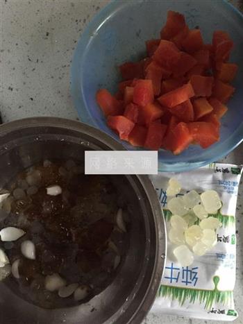 木瓜牛奶炖桃胶皂角的做法图解2