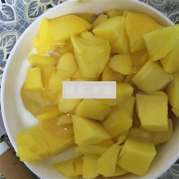 木瓜芒果酸奶的做法步骤4