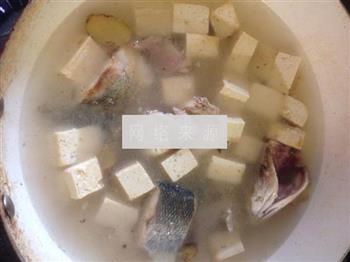 豆腐鲈鱼汤的做法图解6