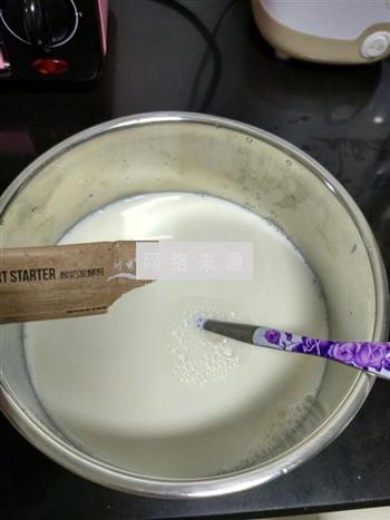 自制原味酸奶的做法步骤3