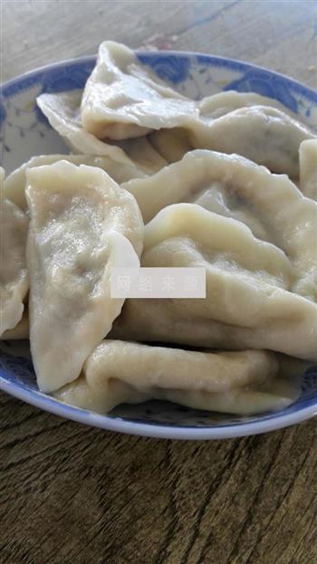 西葫芦水饺的做法步骤9