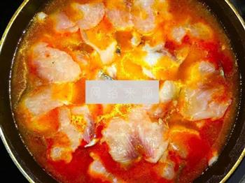 酸汤番茄鱼的做法图解6