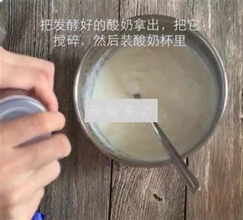盆栽酸奶的做法步骤11