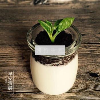 盆栽酸奶的做法步骤17