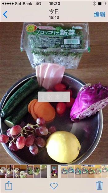 白兰瓜花束蔬果沙拉的做法步骤7