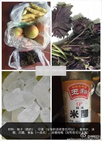 紫苏桃子姜的做法步骤1