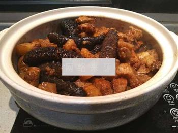 野生海参焖纯种土猪肉的做法步骤8