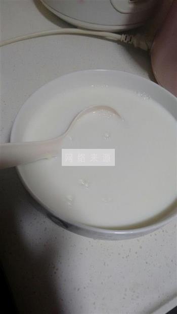 DIY原味酸奶的做法图解3