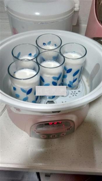 DIY原味酸奶的做法图解5