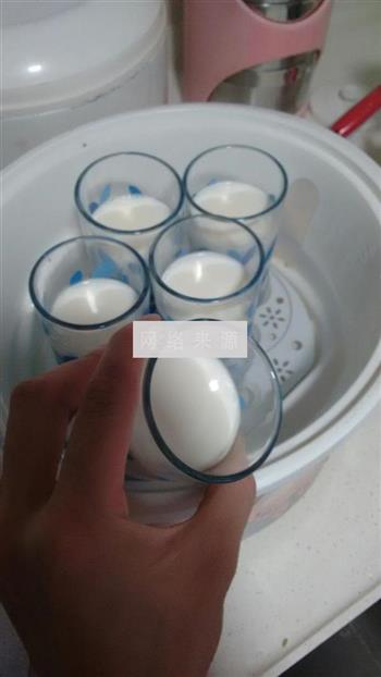 DIY原味酸奶的做法图解6