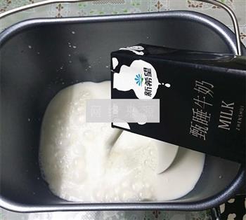 果仁酸奶的做法图解4