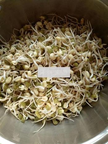 自发绿豆芽的做法步骤5