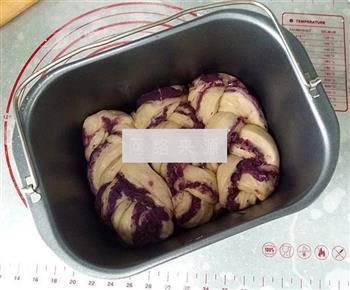 紫薯椰蓉辫子面包的做法步骤14
