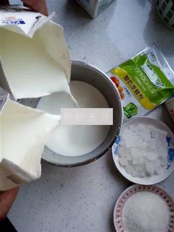酸奶的做法图解2