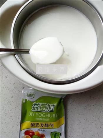 酸奶的做法图解5