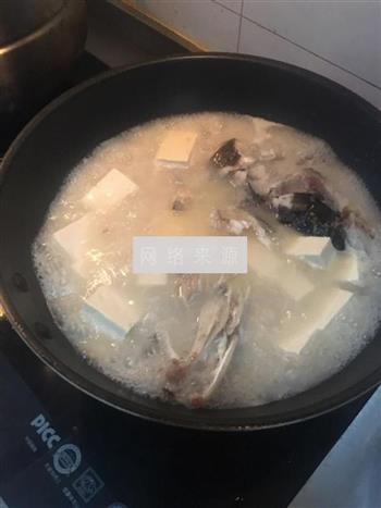 鱼头炖豆腐的做法步骤4