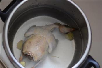 松茸鸽子汤的做法步骤5