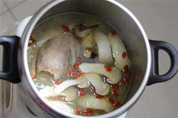 松茸鸽子汤的做法图解7
