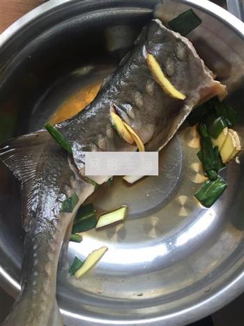 清蒸中华鲟鱼的做法图解1
