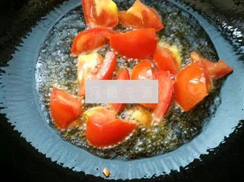 番茄胡萝卜炖牛肉的做法步骤4