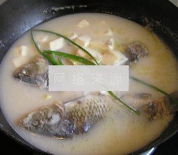 奶白色的鲫鱼豆腐汤的做法步骤6