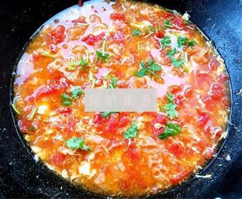 番茄蛋花银耳汤的做法图解11