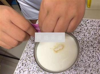 自制水果酸奶的做法步骤3