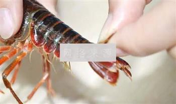 正宗潜江油焖大虾的做法步骤2