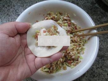 秀珍菇圆白菜肉馅饺子的做法图解9