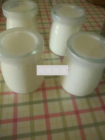 自制酸奶的做法的做法图解4