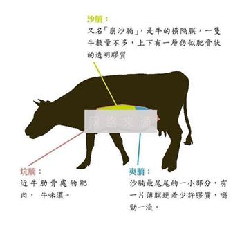 萝卜焖牛腩的做法步骤1