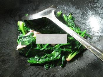 咸肉炒菠菜的做法步骤6