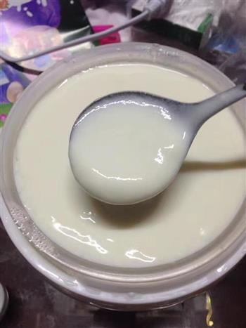 自制好酸奶的做法图解3