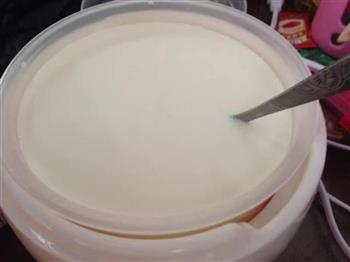 自制好酸奶的做法图解5