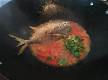 番茄金鲳鱼的做法步骤7