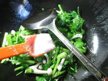 白玉菇炒芹菜的做法步骤5