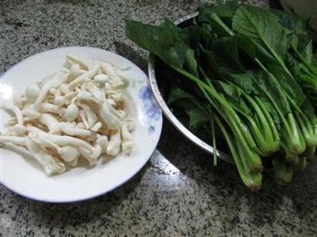 白玉菇炒菠菜的做法步骤1