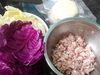 白菜紫甘蓝猪肉饺子的做法步骤1