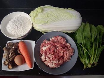 翡翠大白菜肉馅饺子的做法步骤1